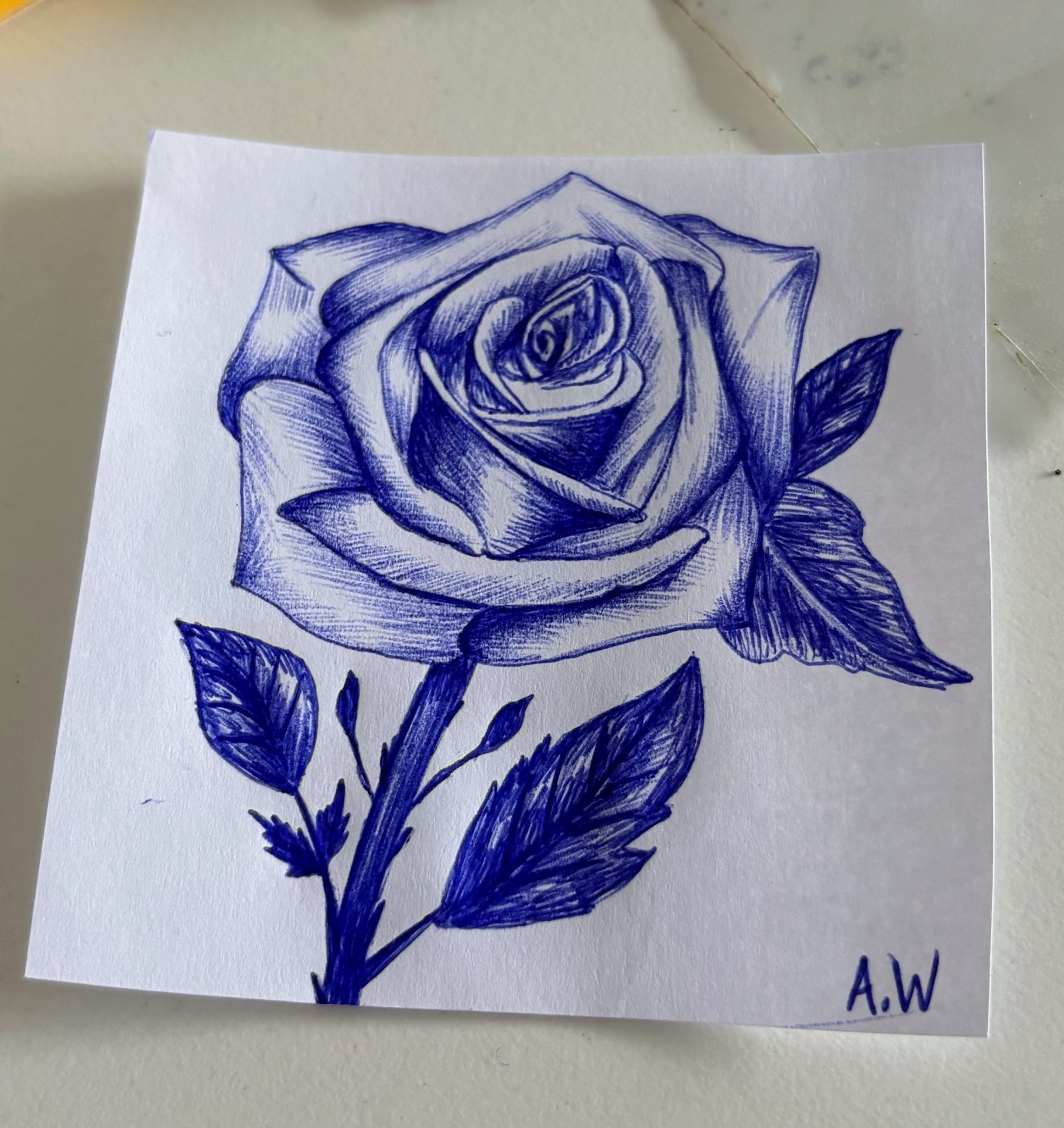 Pen 3